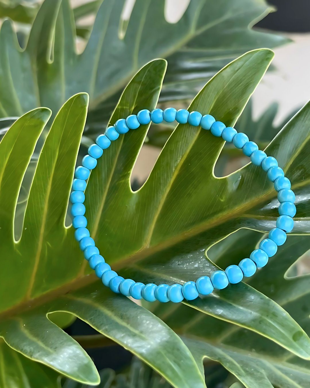 Turquoise beaded bracelet on a leafy green background