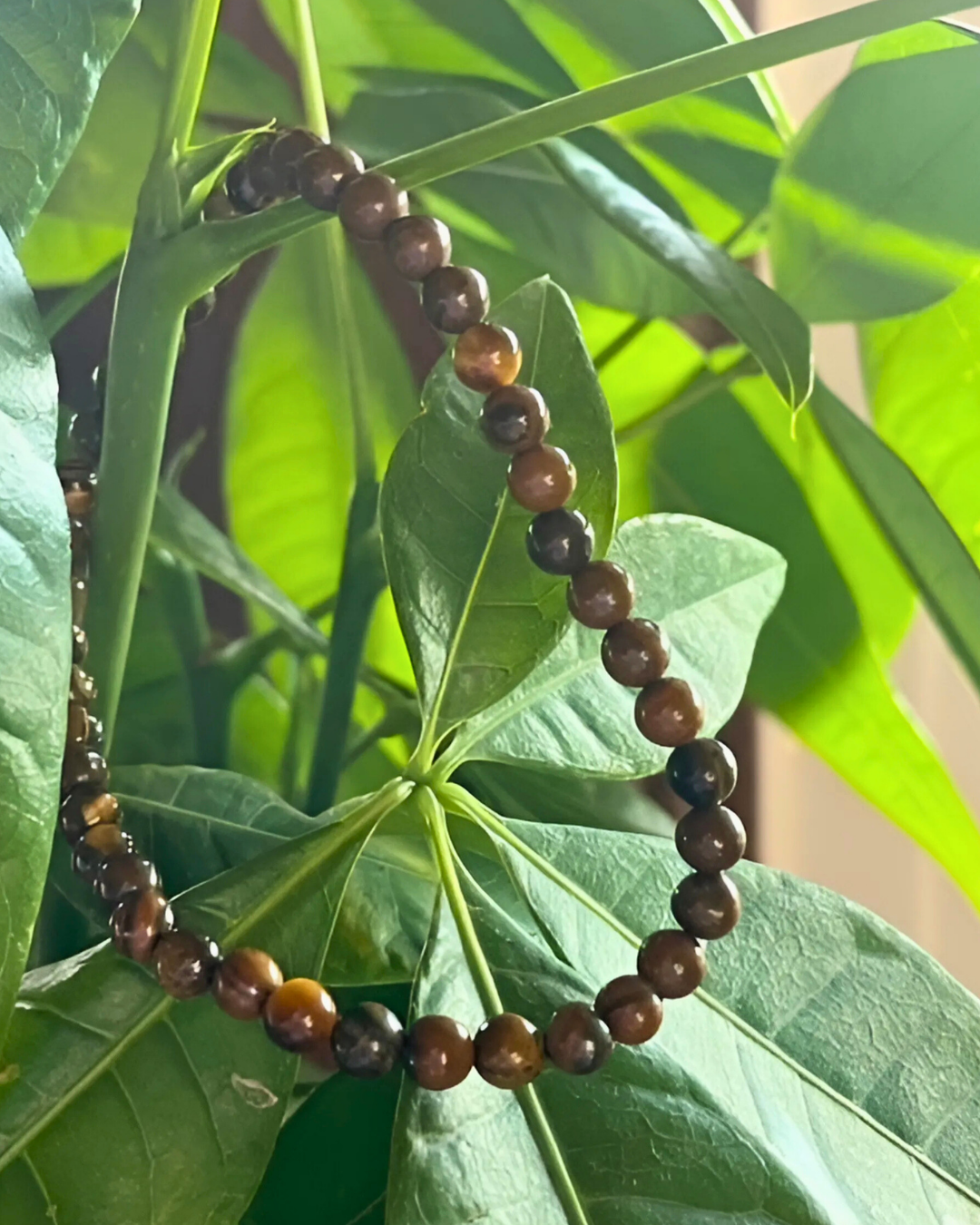 Brown beaded bracelet on green leaves