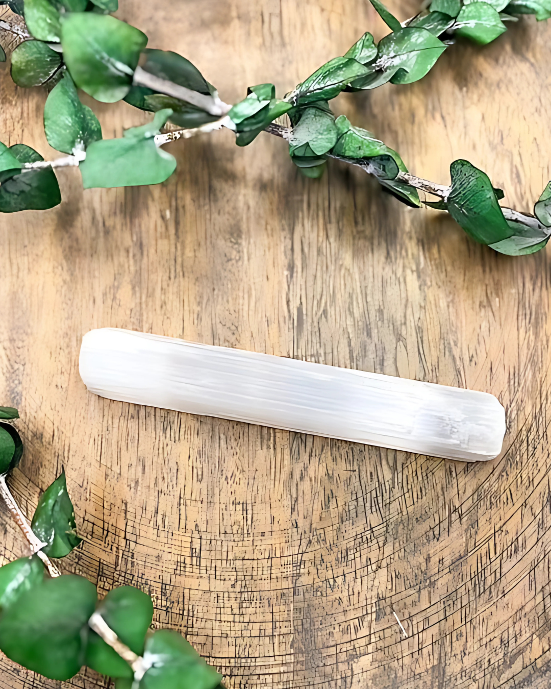 Selenite slab on a wooden surface with greenery