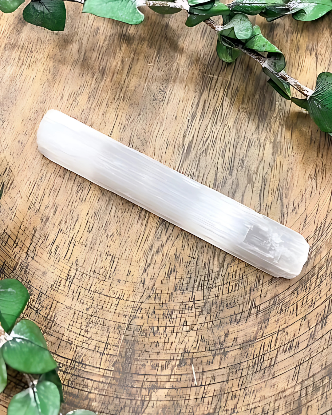 Selenite wand on a wooden surface with greenery